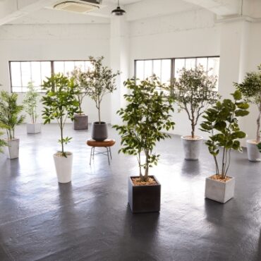 w/g(with green)　※人工観葉植物